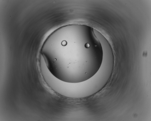 X0000101440960200808041212