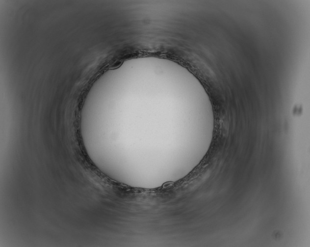 X0000101440961200808041211