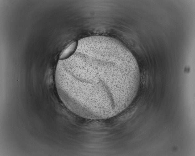 X0000101440962200808041211