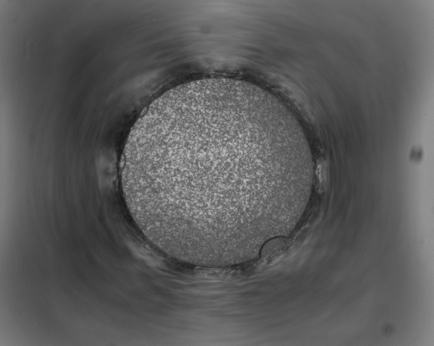 X0000101440963200808041211