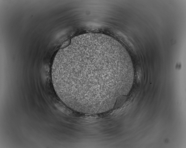 X0000101440964200808041211