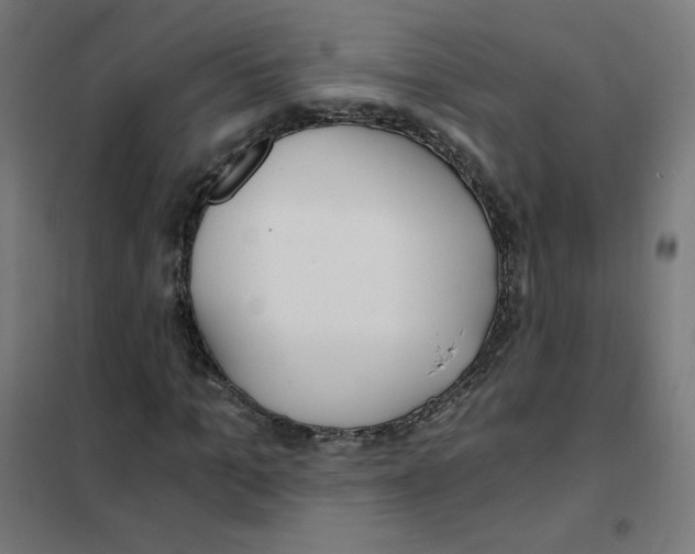 X0000101440965200808041211