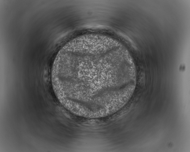 X0000101440966200808041211
