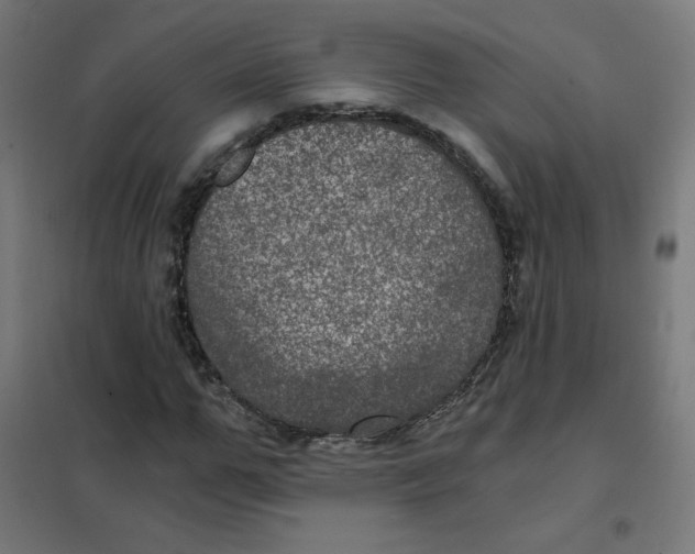 X0000101440967200808041211