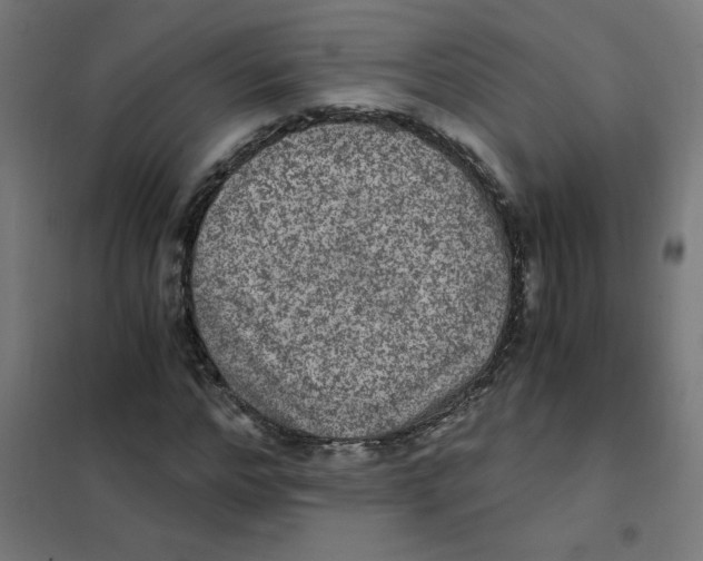 X0000101440968200808041211