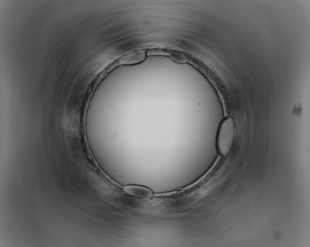 X0000101440969200808041211