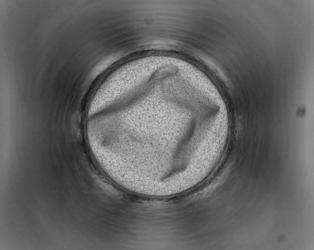 X0000101440970200808041211