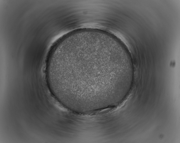 X0000101440971200808041211