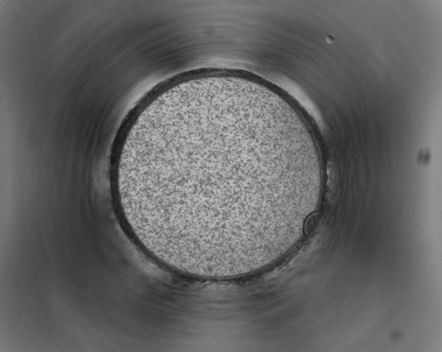 X0000101440972200808041211