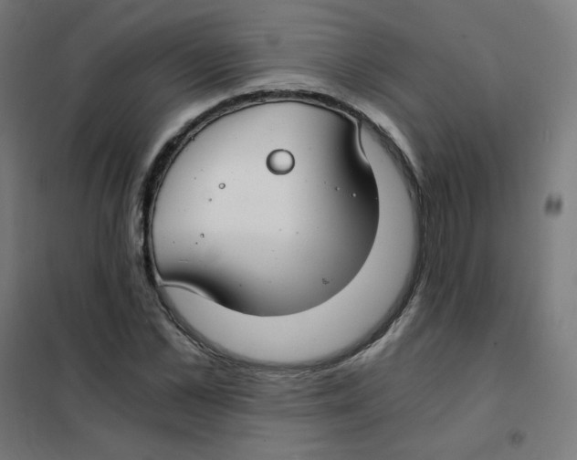 X0000101440973200808041211