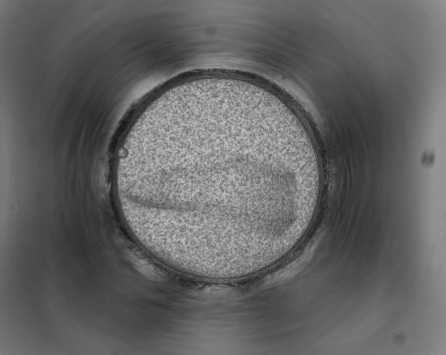 X0000101440974200808041211