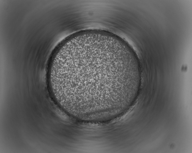 X0000101440975200808041211