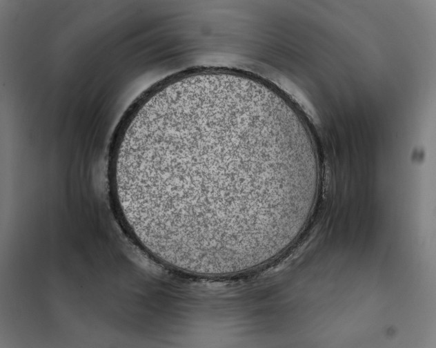 X0000101440976200808041211