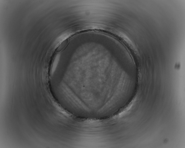 X0000101440977200808041211