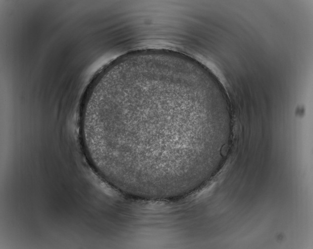 X0000101440979200808041211