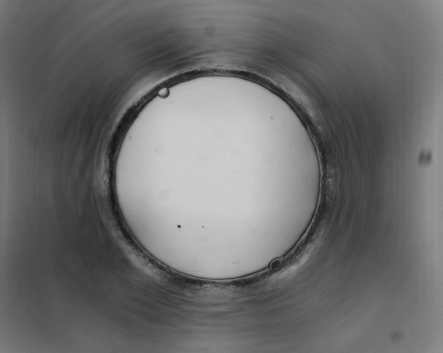 X0000101440981200808041210