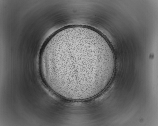 X0000101440982200808041210