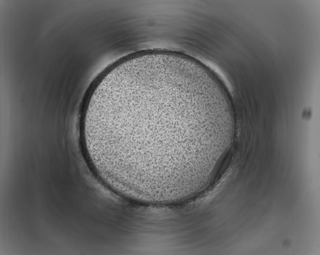 X0000101440983200808041210