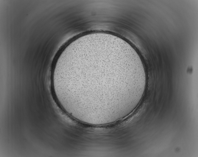 X0000101440984200808041210