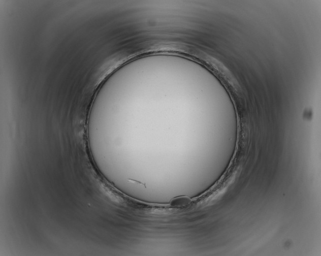 X0000101440985200808041210