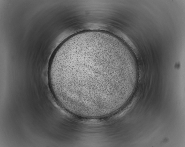 X0000101440986200808041210