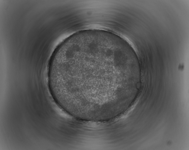 X0000101440987200808041210
