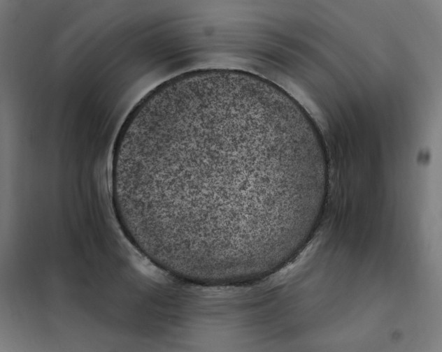 X0000101440988200808041210