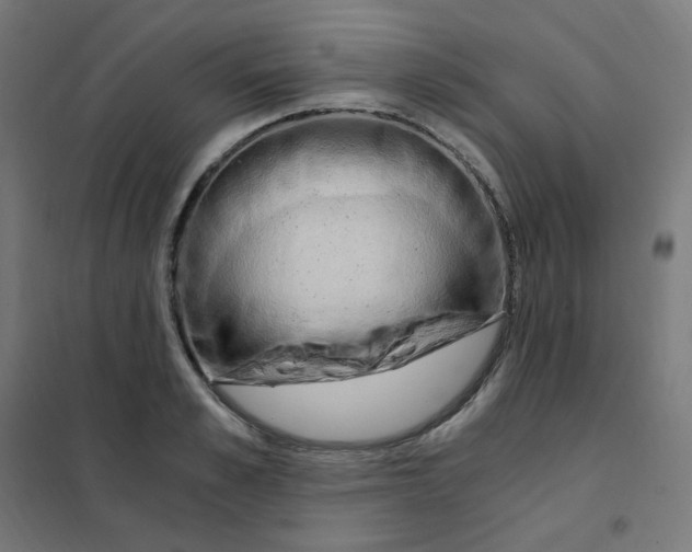 X0000101440989200808041210