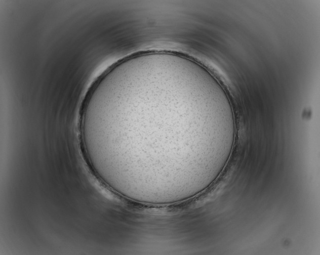 X0000101440990200808041210