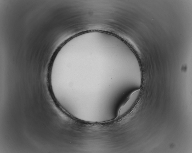 X0000101440991200808041210