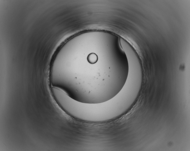 X0000101440992200808041210