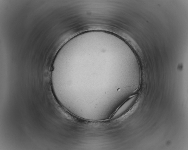 X0000101440993200808041210