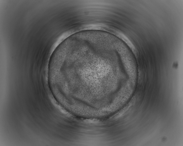 X0000101440994200808041210