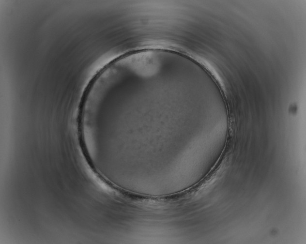 X0000101440995200808041210