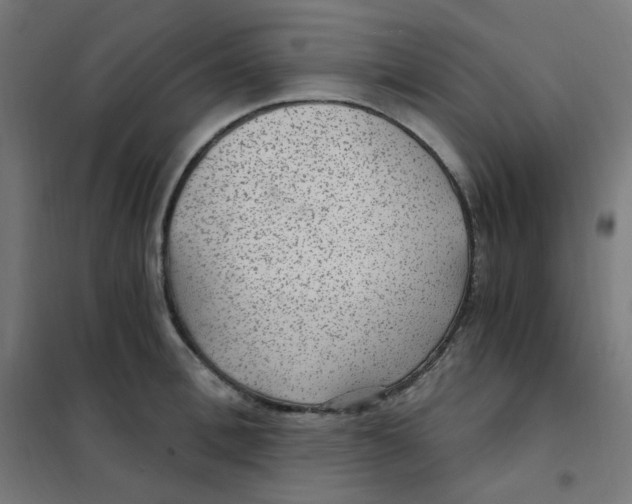 X0000101440996200808041210