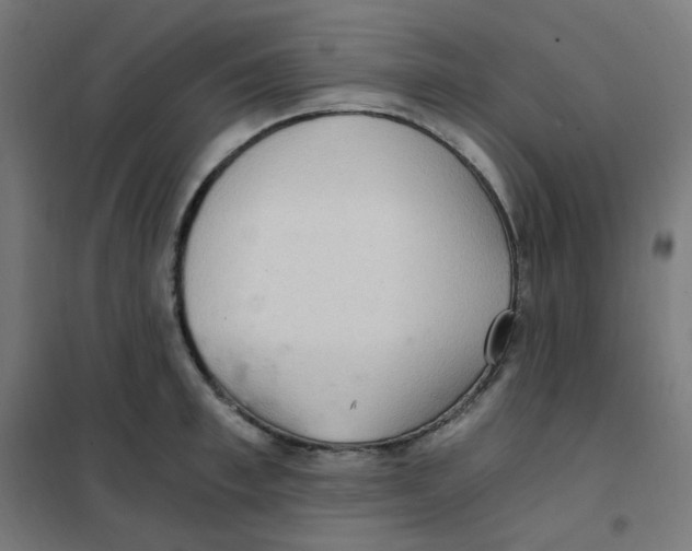 X0000101440997200808041210