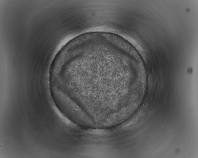 X0000101440998200808041210