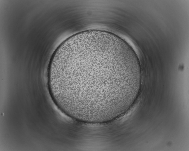 X0000101440999200808041210