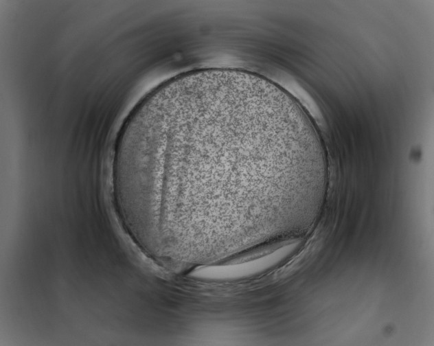 X0000101441000200808041210