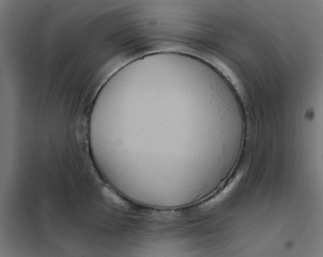 X0000101441001200808041210