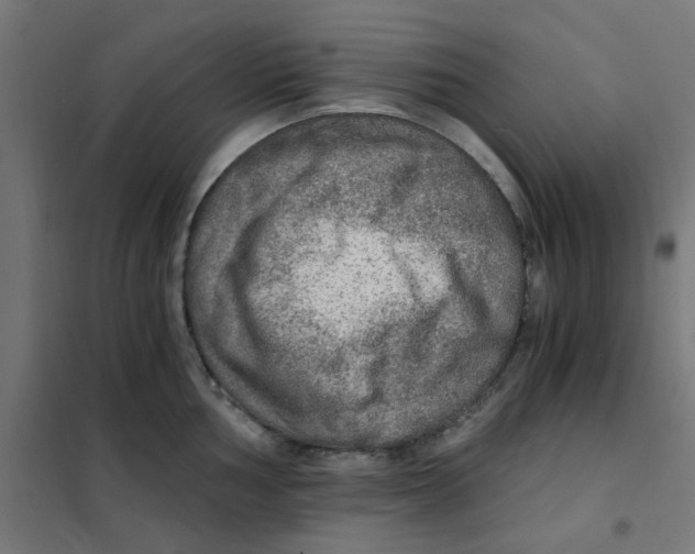 X0000101441002200808041210
