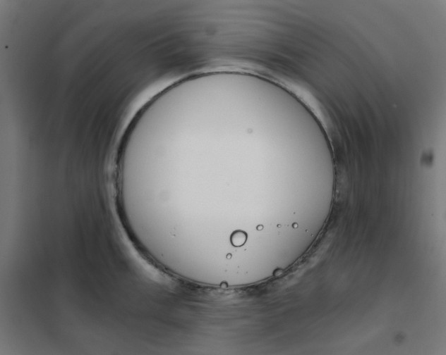 X0000101441003200808041210
