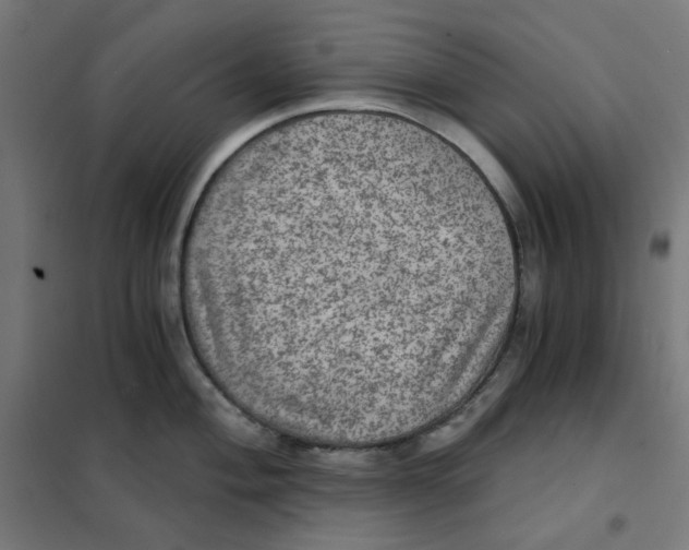 X0000101441004200808041210