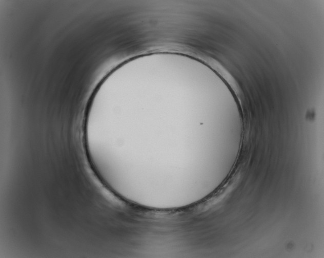 X0000101441005200808041210