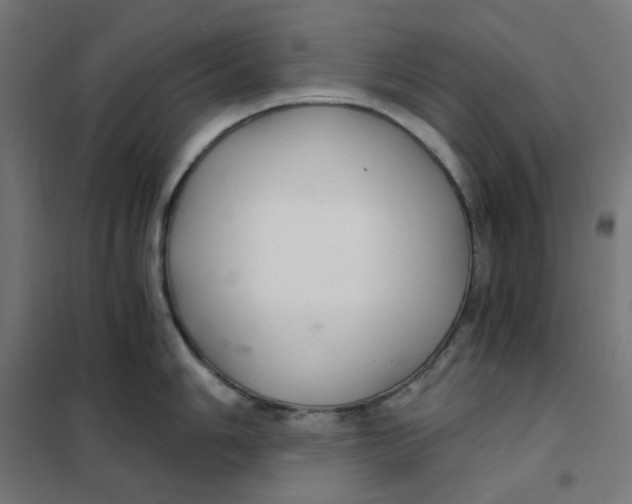 X0000101441006200808041210