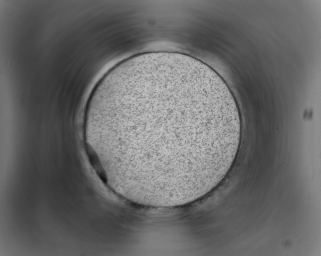 X0000101441008200808041210