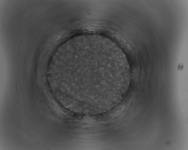X0000101441009200808041209