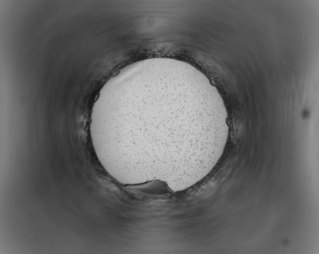 X0000101441010200808041209