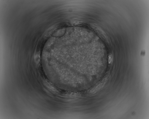 X0000101441011200808041209