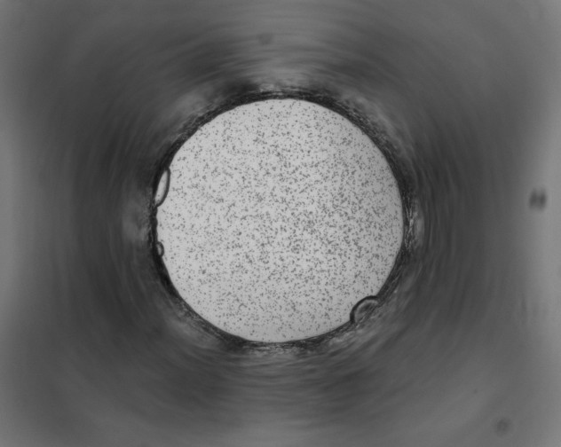 X0000101441012200808041209